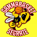 Segrate_Gammabasket130.jpg